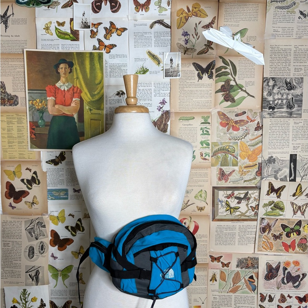 The North Face Blue and Black Travel Bag